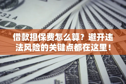 济南借款担保费怎么算？避开违法风险的关键点都在这里！