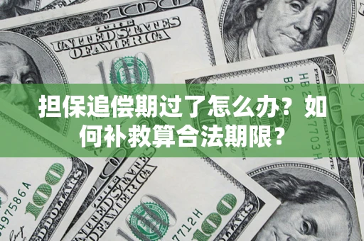 济南担保追偿期过了怎么办？如何补救算合法期限？