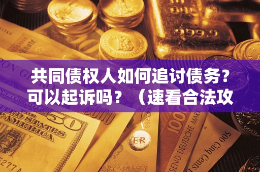 济南共同债权人如何追讨债务？可以起诉吗？（速看合法攻略）
